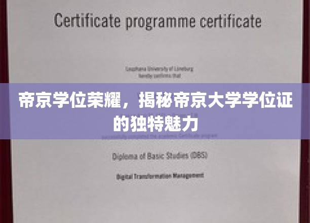 帝京学位荣耀，揭秘帝京大学学位证的独特魅力