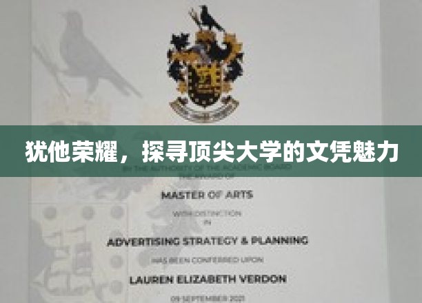 揭秘犹他荣耀，探寻顶尖大学的文凭魔力