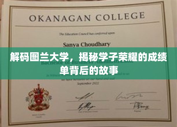 图兰精英，揭秘学子荣耀背后的非凡历程