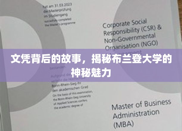 文凭背后的故事，揭秘布兰登大学的独特魅力