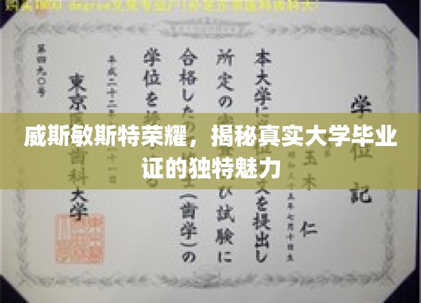 威斯敏斯特荣耀，揭开真实大学毕业证的独特魅力