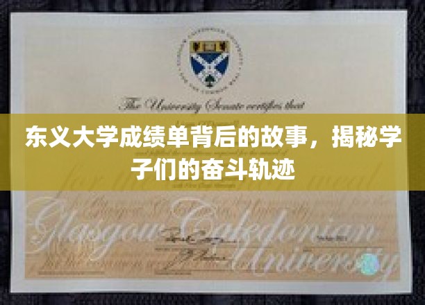 东义大学成绩单背后的故事，揭秘学子们的奋斗轨迹