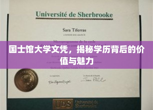 国士馆大学文凭，揭秘学历背后的价值与魅力