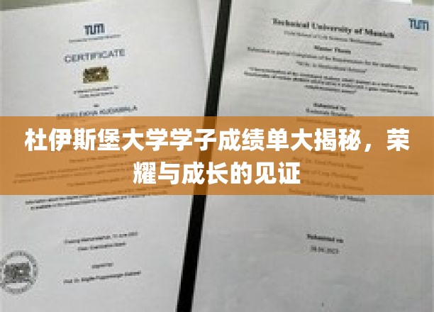 杜伊斯堡大学学子成绩单背后的荣耀轨迹