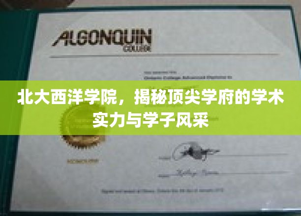 北大西洋学院，揭秘顶尖学府的学术实力与学子风采