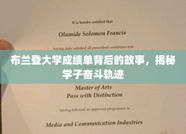 布兰登大学成绩单背后的故事，揭秘学子奋斗轨迹