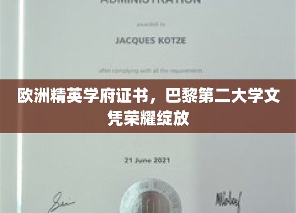 巴黎第二大学荣耀证书，欧洲精英学府身份名片瞩目亮相