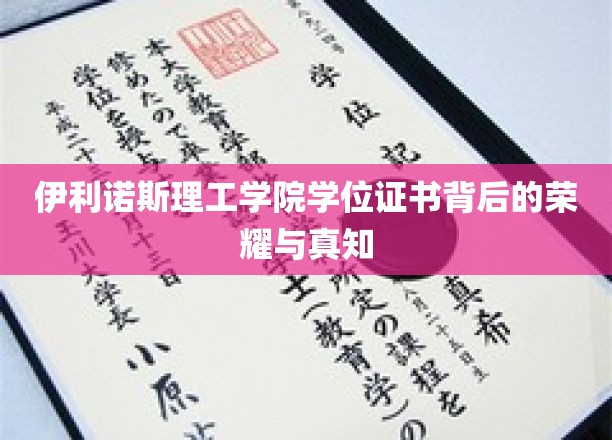 解码伊利诺斯理工学院，学位证书背后的辉煌历程与深刻智慧
