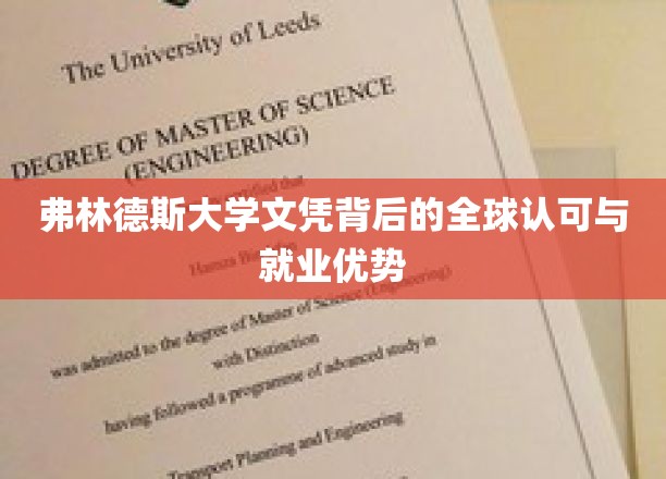 弗林德斯大学文凭，国际通行证，开启职场新篇章
