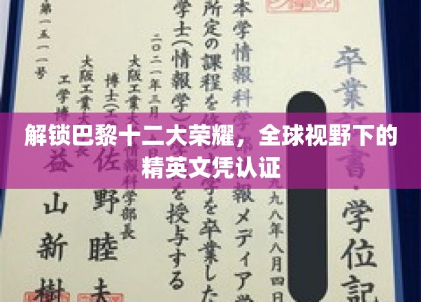 巴黎十二大荣耀，全球视野下的精英文凭认证