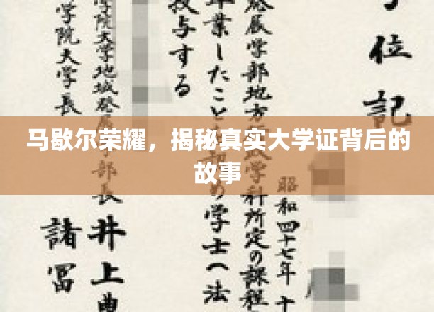 揭开马歇尔荣耀，探寻那些隐藏在大学证书背后的不为人知传奇