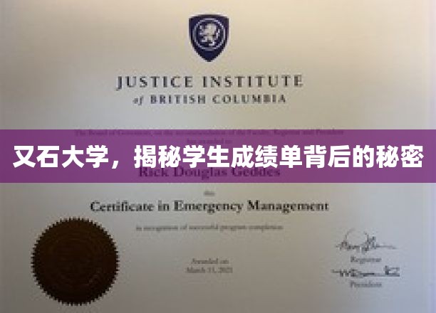 解码又石大学，成绩单背后的神秘世界