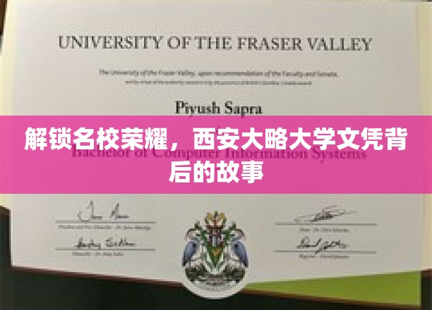 探寻名校光环，揭秘西安大略大学文凭的荣耀之路