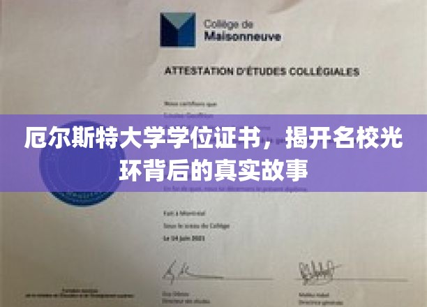 揭秘厄尔斯特大学，学位证书背后的真实名校传奇