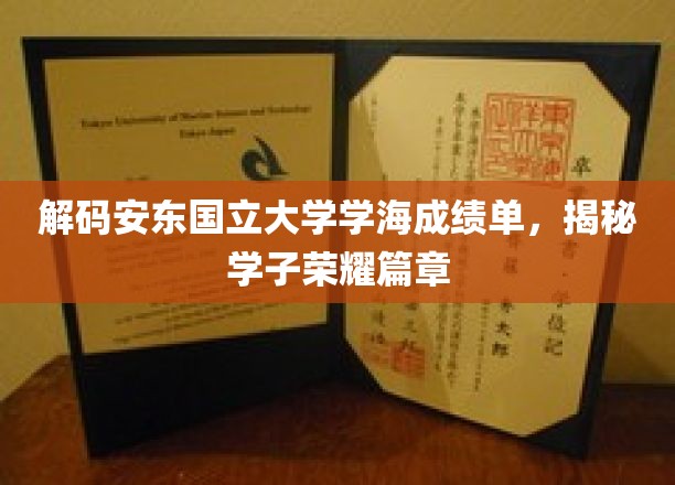 安东国立大学荣耀榜，学子成绩单背后的辉煌故事