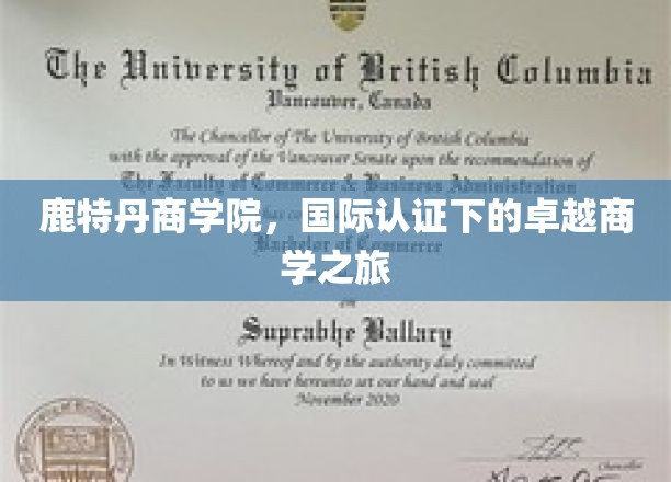 鹿特丹商学院，国际认证赋能，解锁全球商学精英之旅