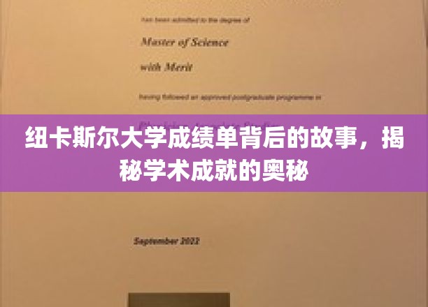 纽卡斯尔大学成绩单背后的故事，揭示学术成就的奥秘