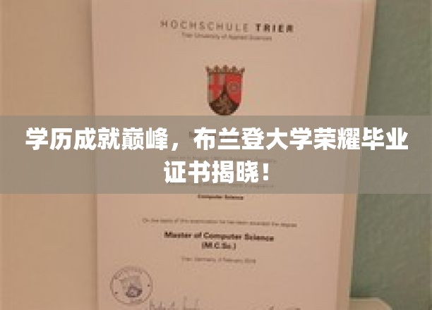 布兰登荣耀，揭秘学霸背后的学历巅峰成就证书！