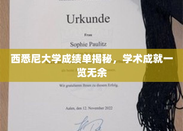 西悉尼大学学术成绩大盘点，一窥学子卓越成就全貌