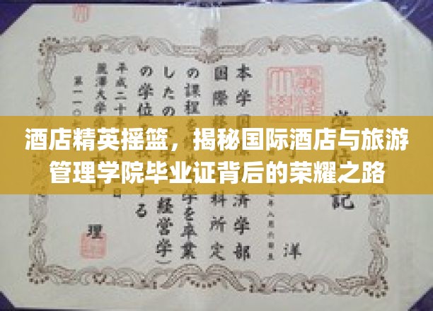 酒店行业璀璨明珠，揭秘国际酒店与旅游管理学院毕业生的辉煌征程