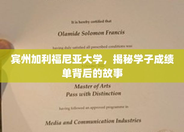 探寻宾大与加州大学学子成绩单背后的成长轨迹