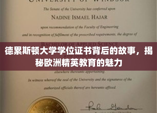 解码德累斯顿荣耀，一纸学位证书背后的欧洲精英教育风采