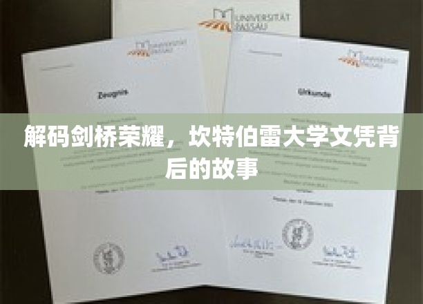 解码剑桥荣耀，坎特伯雷大学文凭背后的故事