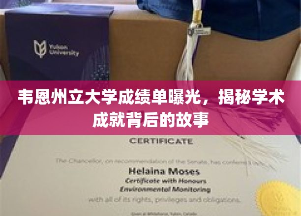 韦恩州立大学成绩单曝光，揭秘学术成就背后的故事