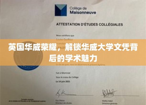 华威荣耀解码，探索华威大学文凭的学术魅力与价值