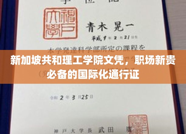 新加坡共和理工学院文凭，职场新贵必备的国际化通行证