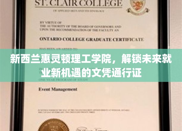 新西兰惠灵顿理工学院：掌握未来职场新通行证