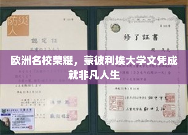 蒙彼利埃大学荣光，成就非凡人生的国际通行证
