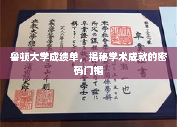鲁顿大学成绩单，揭秘学术成就的密码门楣
