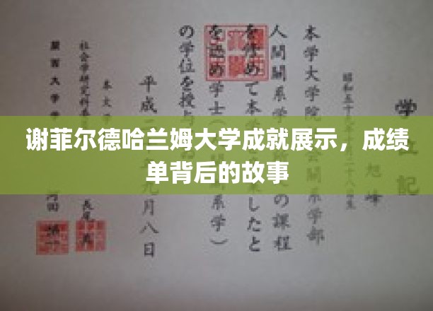 解码谢菲尔德哈兰姆大学辉煌瞬间，背后的精彩故事揭晓