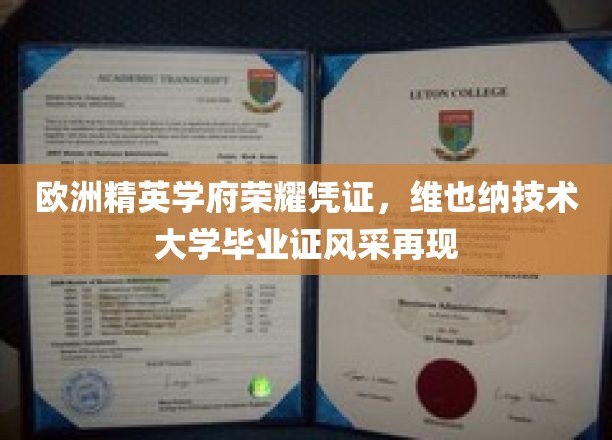 维也纳技术大学荣耀凭证，探索欧洲精英学府的学术风采
