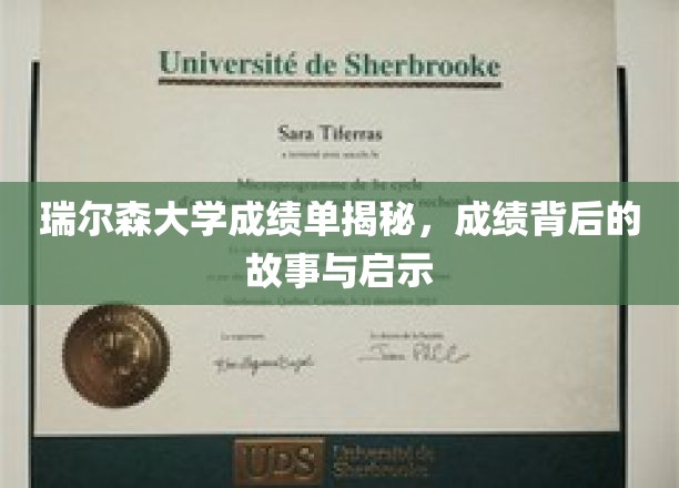瑞尔森大学成绩单揭秘，成绩背后的故事与启示