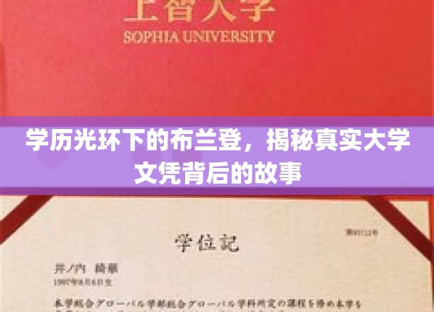 学历光环下的布兰登，揭秘真实大学文凭背后的故事