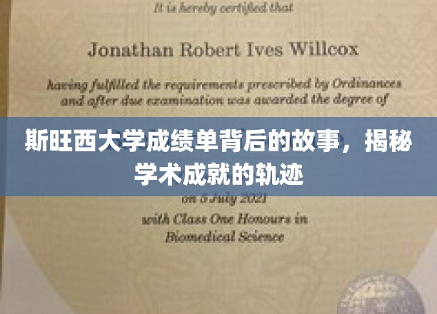 斯旺西大学成绩单中的秘密，探寻学子学术旅程的印记