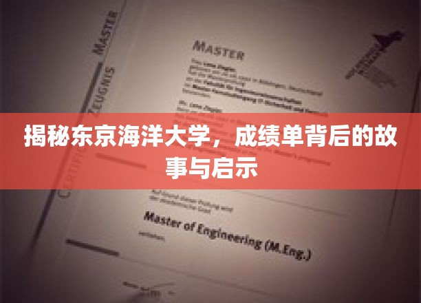 探秘东京海洋大学，成绩单背后的人生轨迹与智慧启示