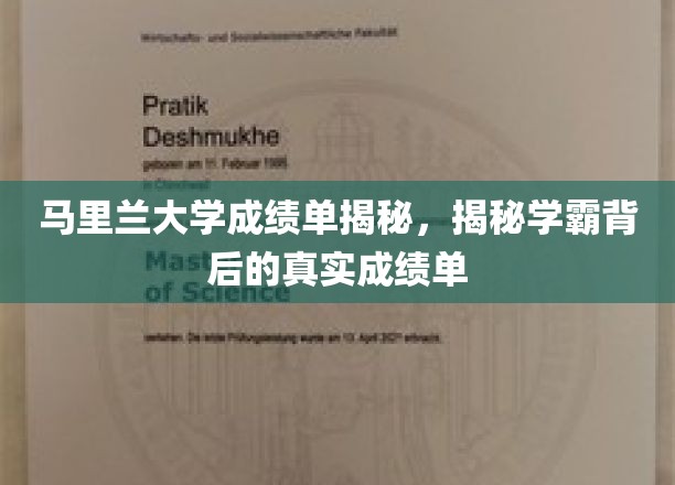 马里兰学霸真容，揭秘那些鲜为人知的成绩单细节