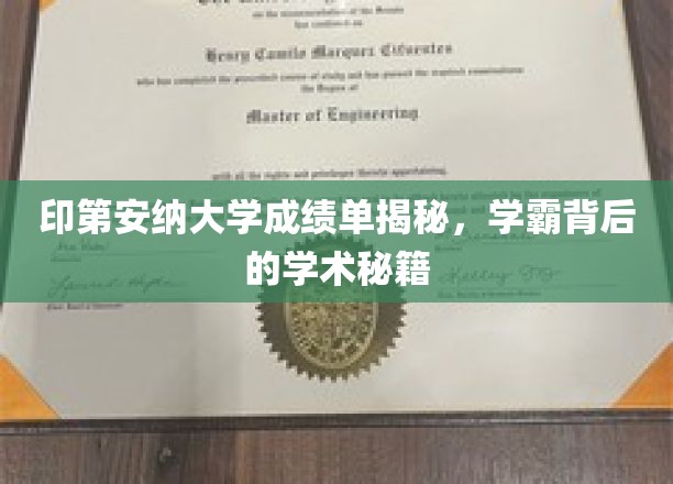 探寻印第安纳大学学霸背后的卓越学术之路