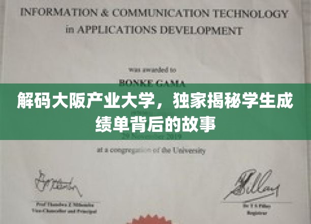 解码大阪产业大学，揭秘学海航程中的成绩密码