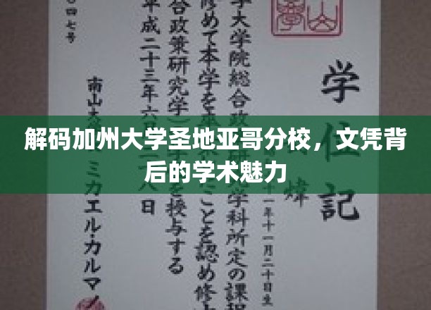 探索圣地亚哥分校，文凭背后的学术瑰宝