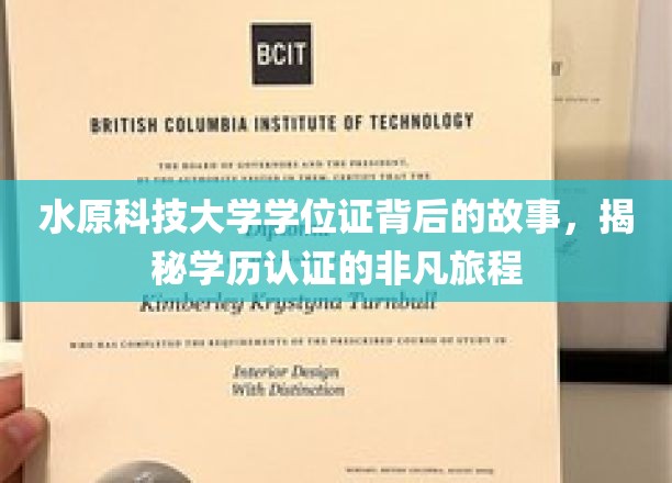水原科技大学学位证背后的故事，揭秘学历认证的非凡旅程