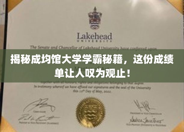 成均馆大学学霸养成记，揭秘高成绩背后的惊人秘密！