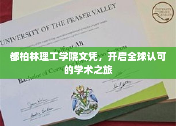 都柏林理工学院文凭，开启全球认可的学术之旅