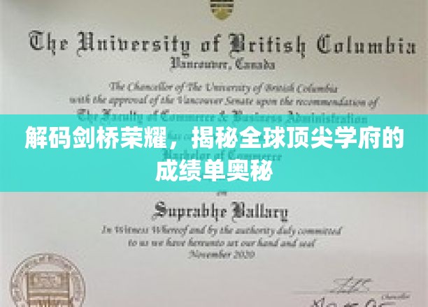 解码剑桥荣耀，探寻全球顶尖学府的成绩单之谜