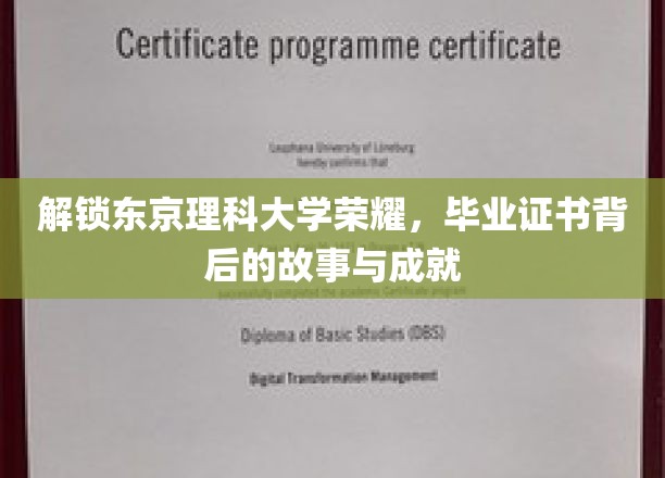 揭秘东京理科大学辉煌，证书背后的传奇与卓越