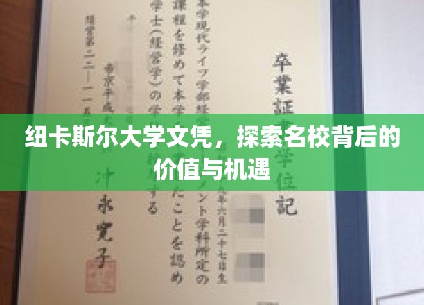 纽卡斯尔大学文凭，探寻名校背后的价值与机遇