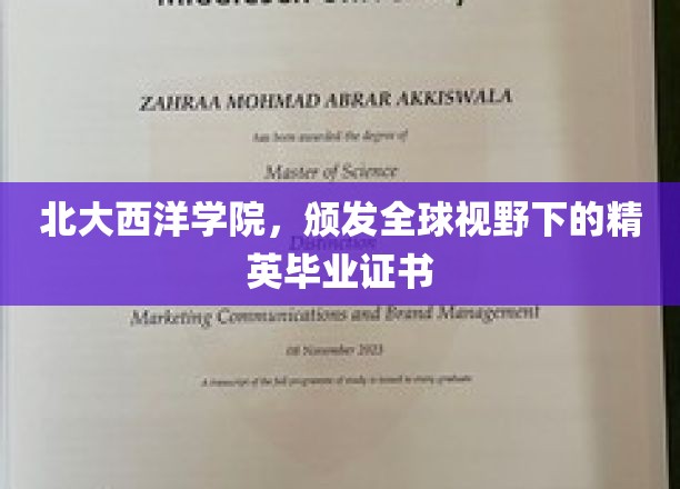 跨越海洋的智慧之旅，北大西洋学院全球精英证书荣耀颁发